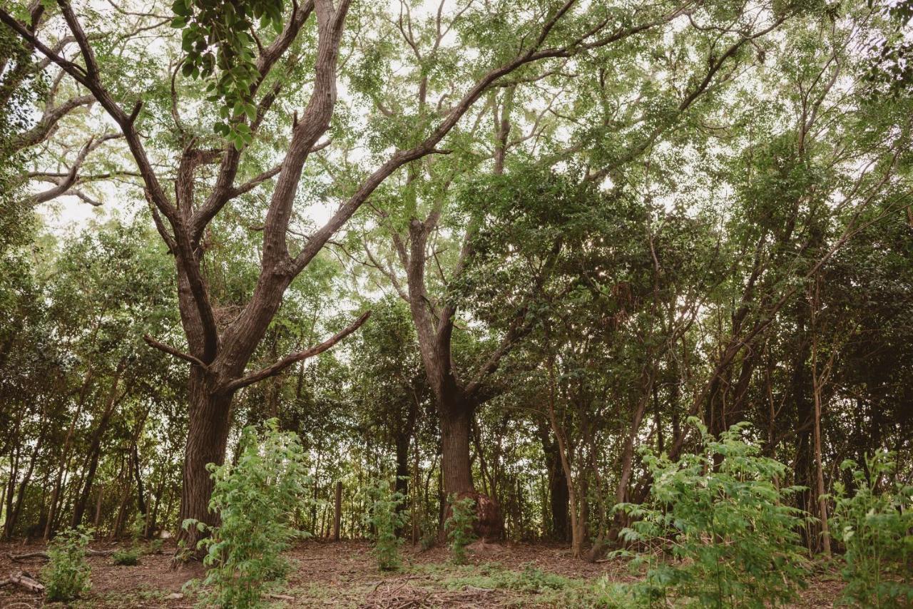 El Rincon - Casa De Campo Carmelo Eksteriør bilde